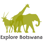 logo Explore Botswana