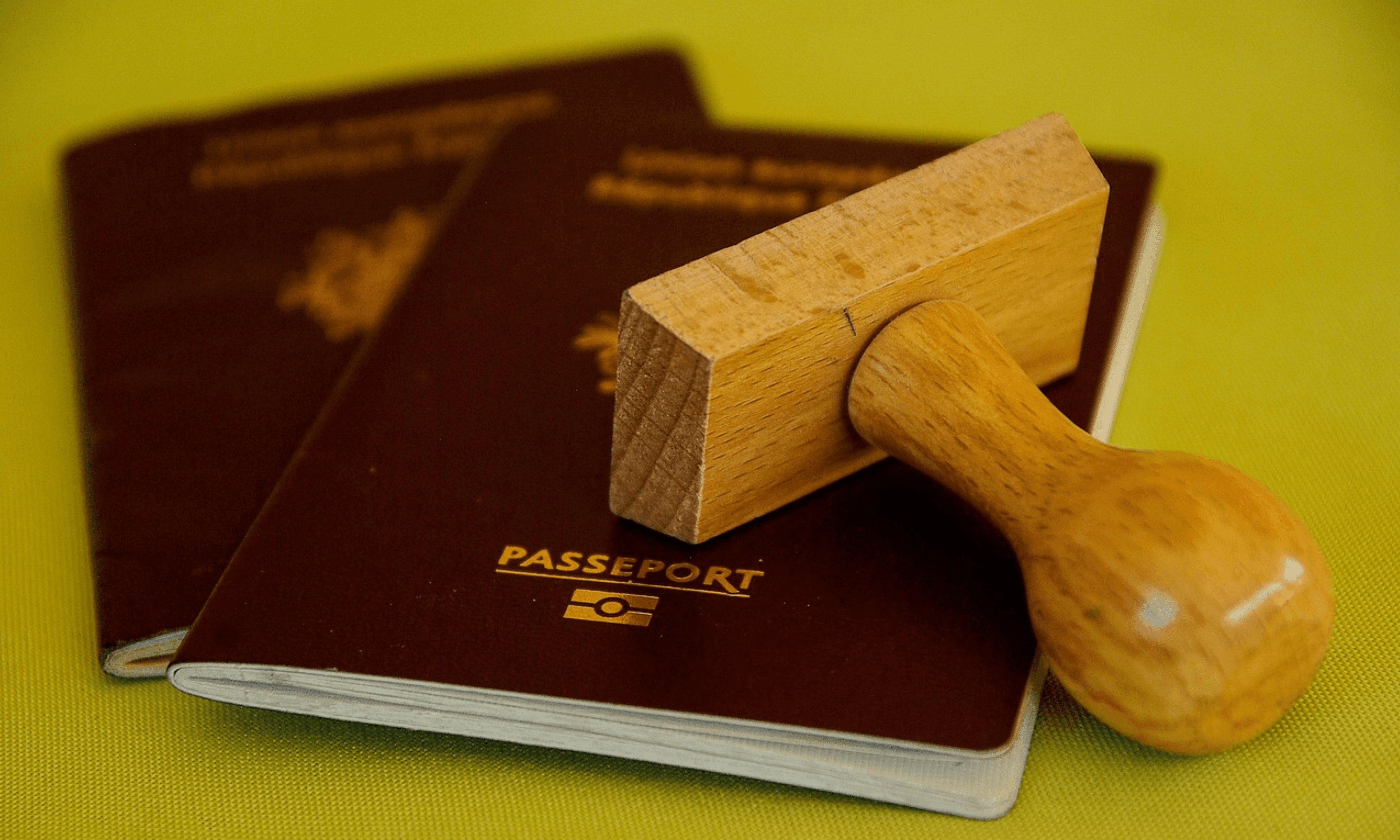 Paspoort header nieuwsbericht.png