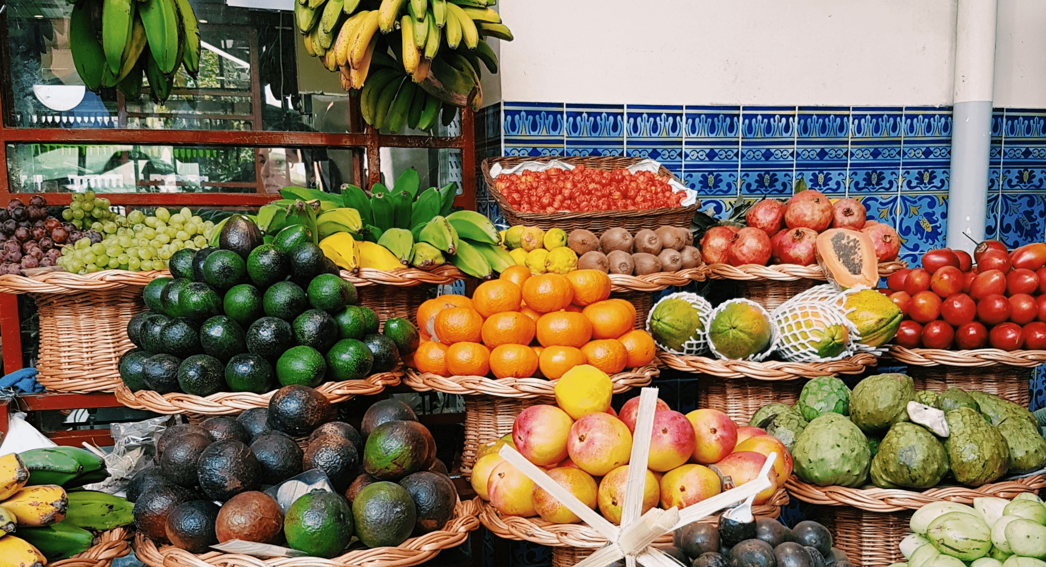 Header Madeira wijn