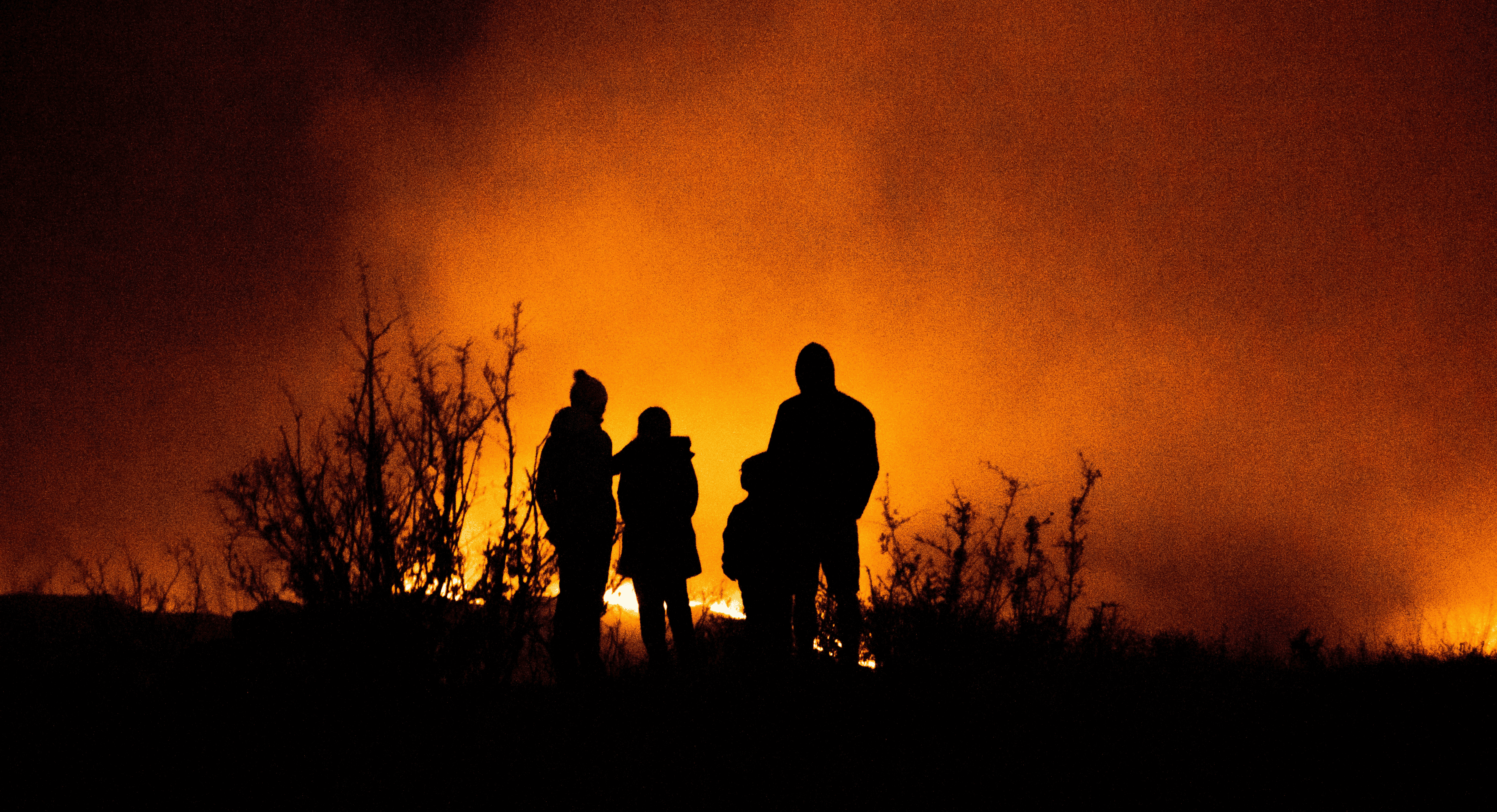 Header nieuwsbericht bosbrand (1).png